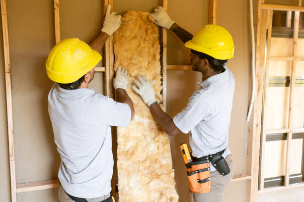 Best Eco-Friendly Insulation Solutions  in Park City, UT